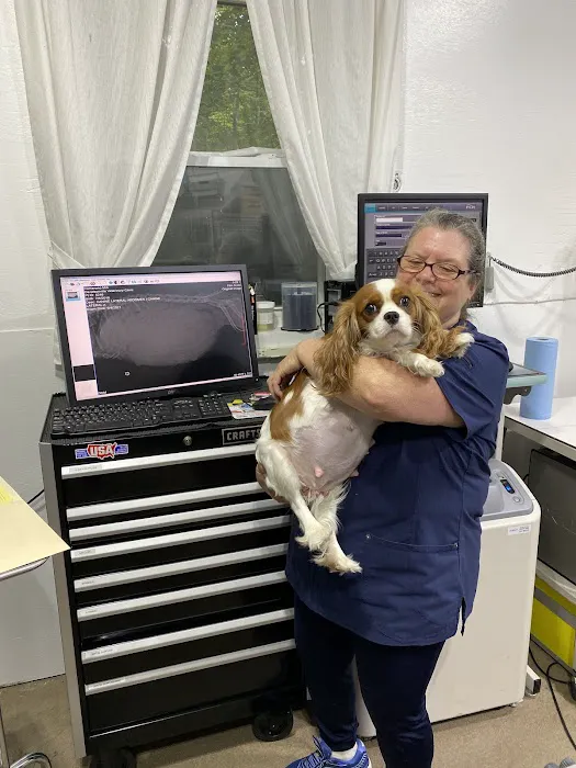 Davidsonville Veterinary Clinic 4
