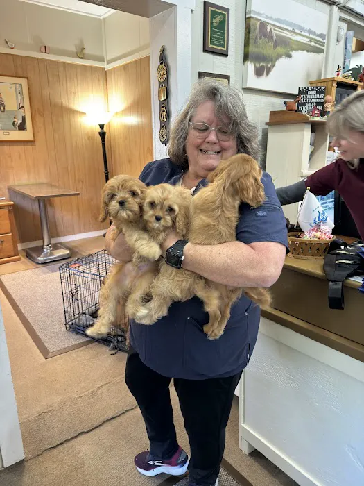 Davidsonville Veterinary Clinic 8