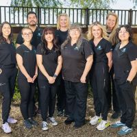 Pet Dental USA ico