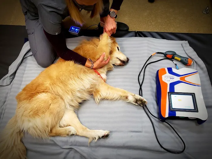 Canine Wellness Center 4