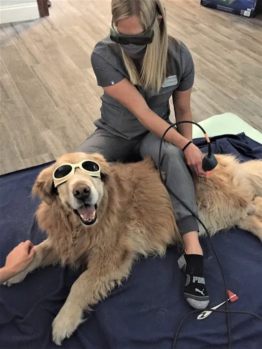 Canine Wellness Center 5