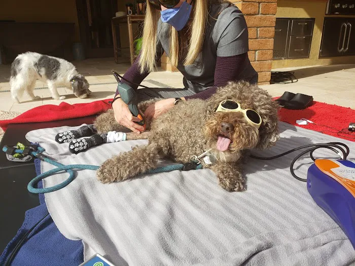 Canine Wellness Center 9