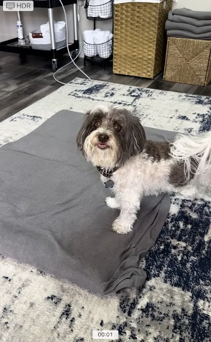 Canine Wellness Center 7