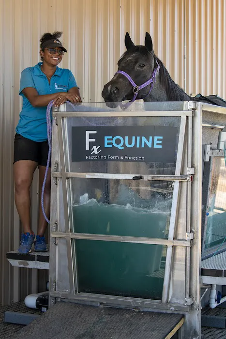 FX Equine 1