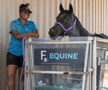 FX Equine