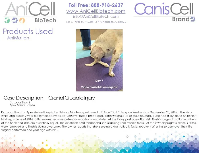 AniCell Biotech, LLC 7
