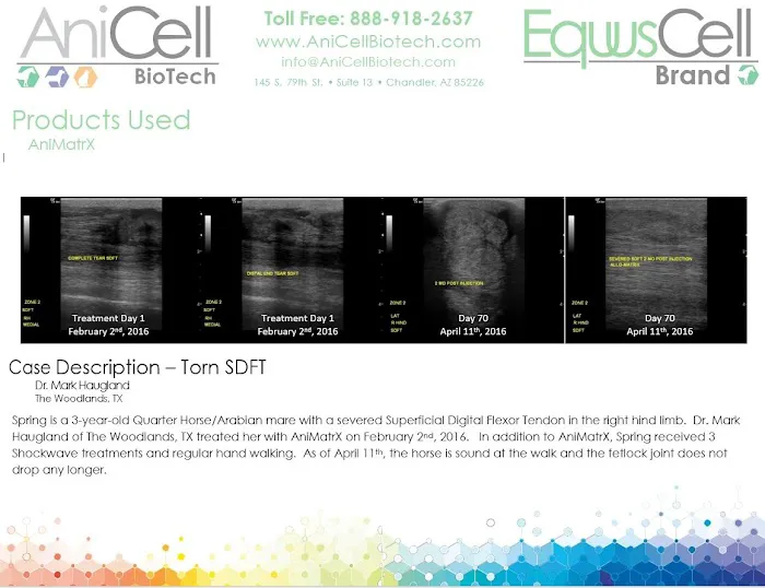 AniCell Biotech, LLC 8