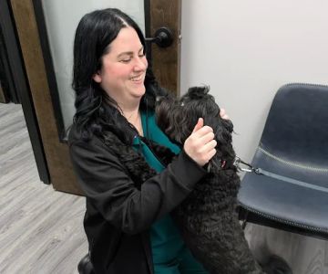 Wills Park Vet