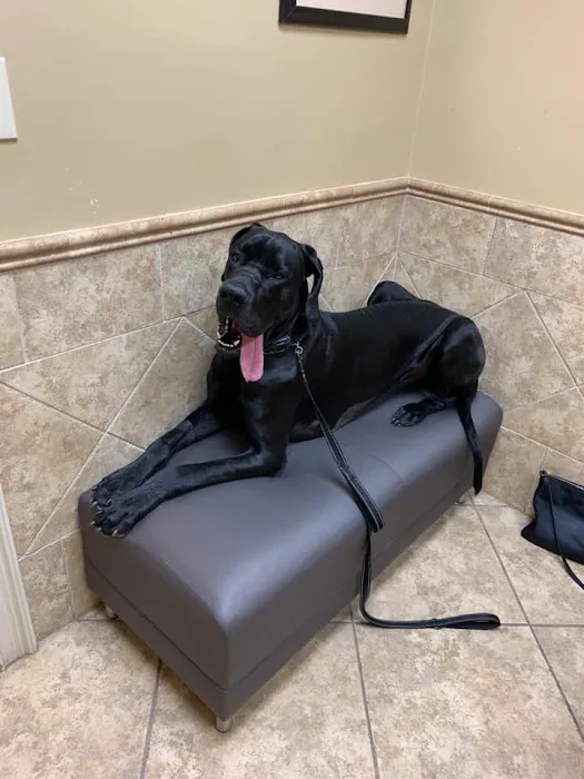 Alpharetta Animal Hospital 4