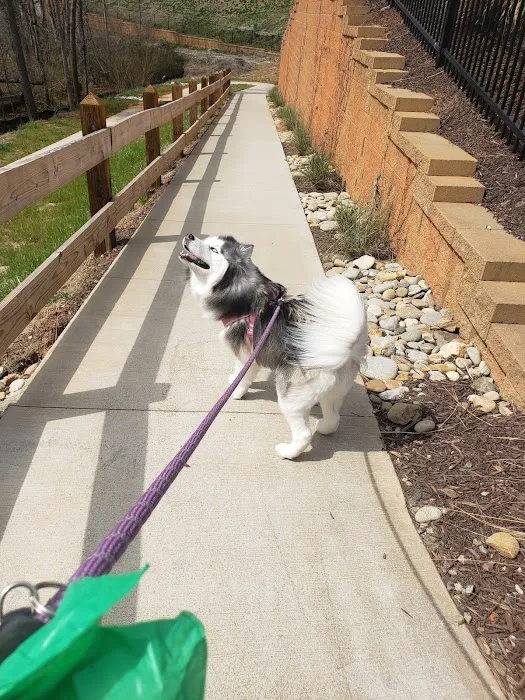 Alpharetta Animal Hospital 9