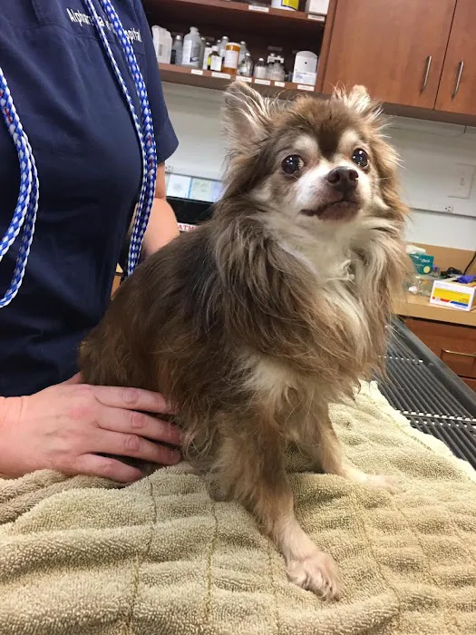 Alpharetta Animal Hospital 8
