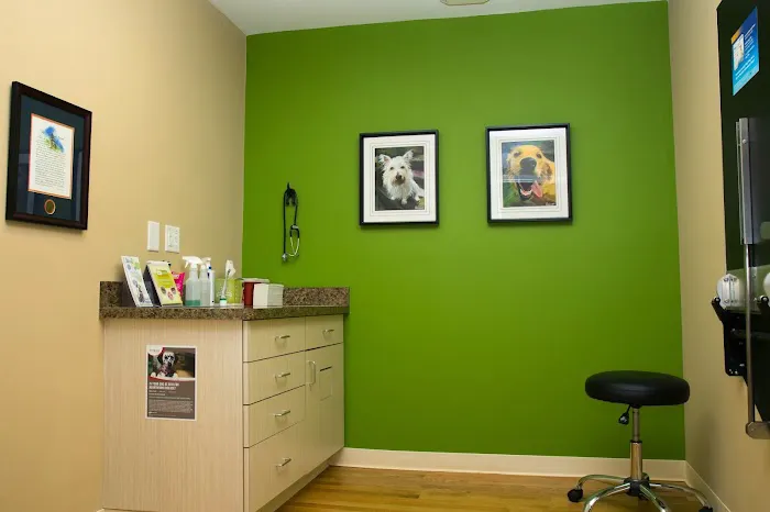 North Main Animal Hospital 12