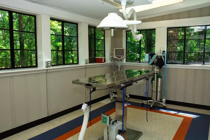 North Main Animal Hospital 12