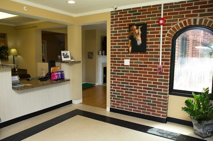 North Main Animal Hospital 12