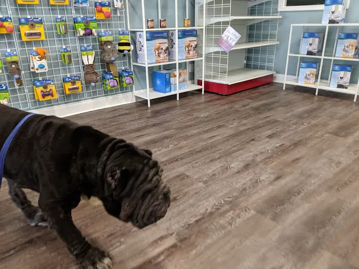 easyvet Veterinarian Alpharetta 12