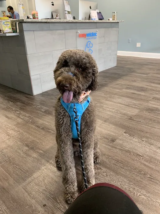 easyvet Veterinarian Alpharetta 12