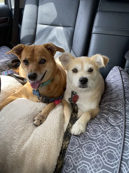 easyvet Veterinarian Alpharetta 12