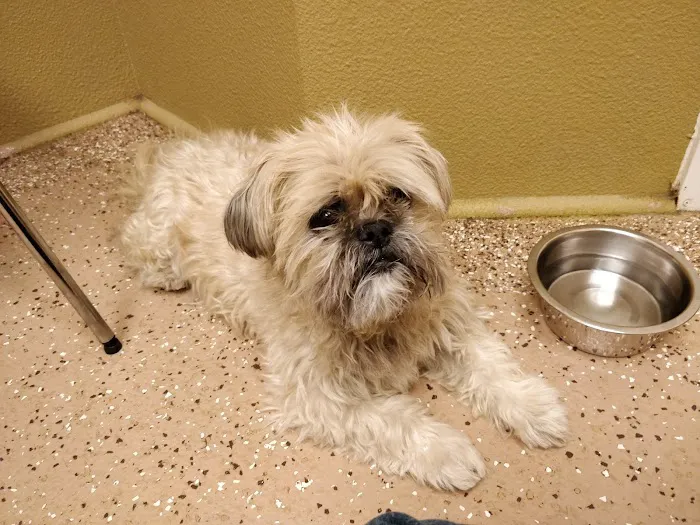 Webb Bridge Animal Hospital 12