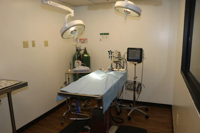 VCA North Atlanta Animal Hospital 12