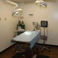 VCA North Atlanta Animal Hospital ico
