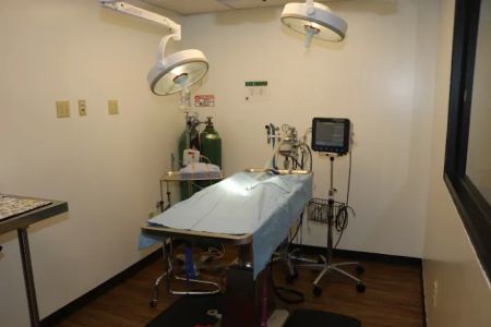 VCA North Atlanta Animal Hospital