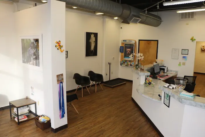 VCA North Atlanta Animal Hospital 12