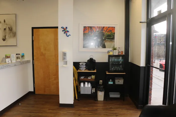 VCA North Atlanta Animal Hospital 12