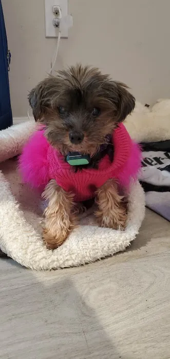 Banfield Pet Hospital 4