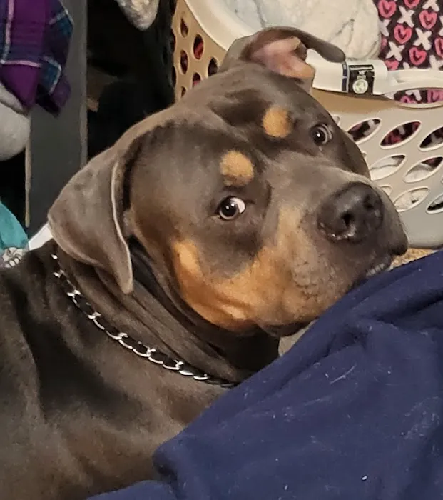 Banfield Pet Hospital 8
