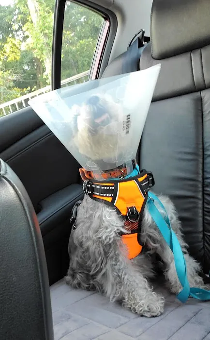 Banfield Pet Hospital 9