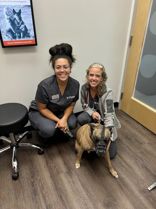 CityVet | Chamblee 6