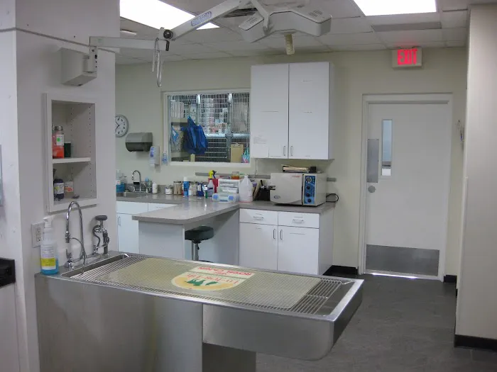 VCA Peachtree Animal Hospital 6