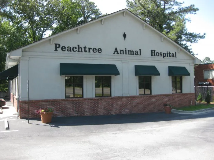 VCA Peachtree Animal Hospital 5
