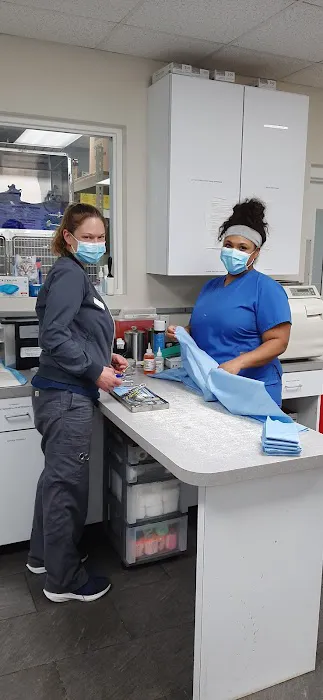 VCA Peachtree Animal Hospital 9