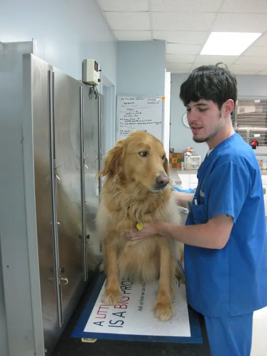 VCA Peachtree Animal Hospital 7