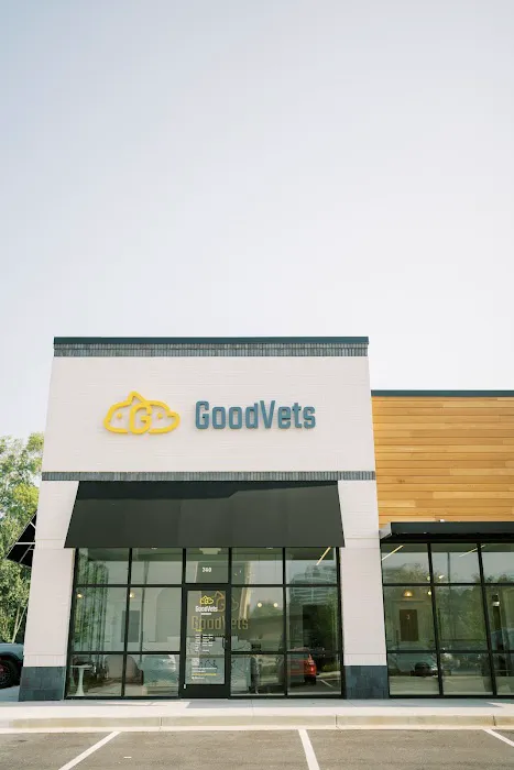 GoodVets Dunwoody 12