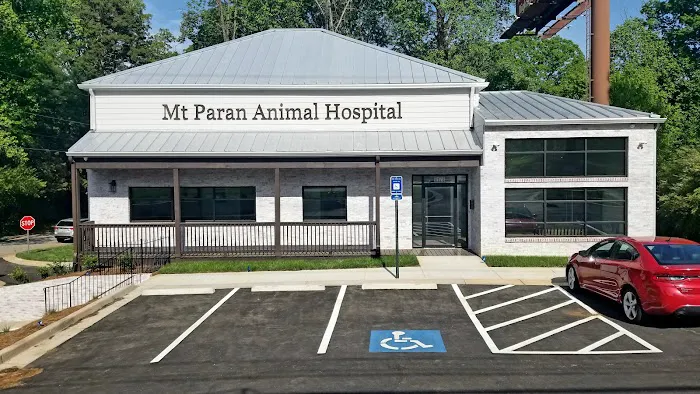 Mt Paran Animal Hospital 12