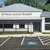 Mt Paran Animal Hospital ico