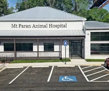 Mt Paran Animal Hospital