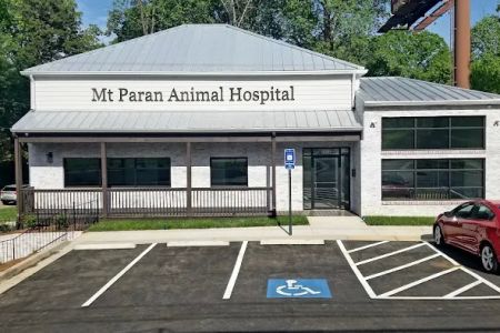 Mt Paran Animal Hospital