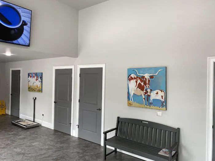 Mt Paran Animal Hospital 12