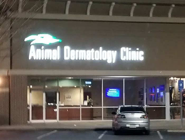 Animal Dermatology Clinic 10