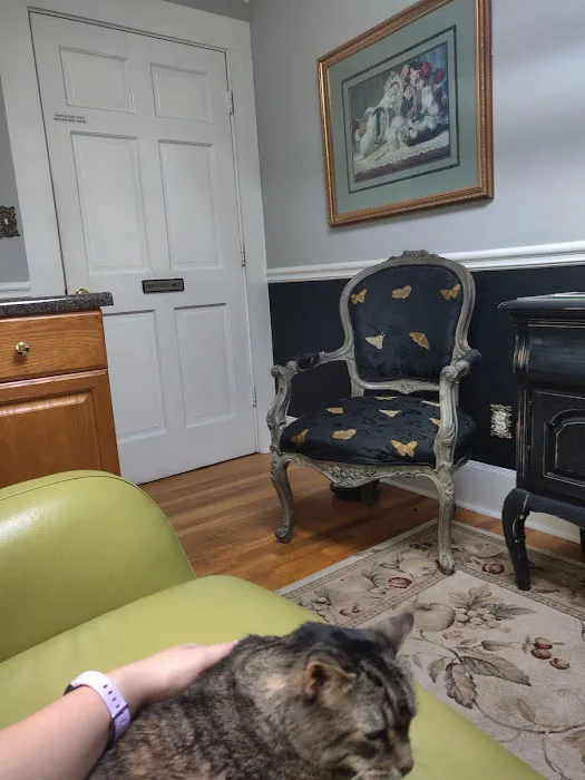 The Cat Doctor, Cat Clinic and Hospital 3