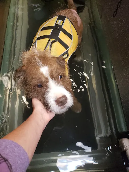 BluePearl Pet Rehab + Fitness 2