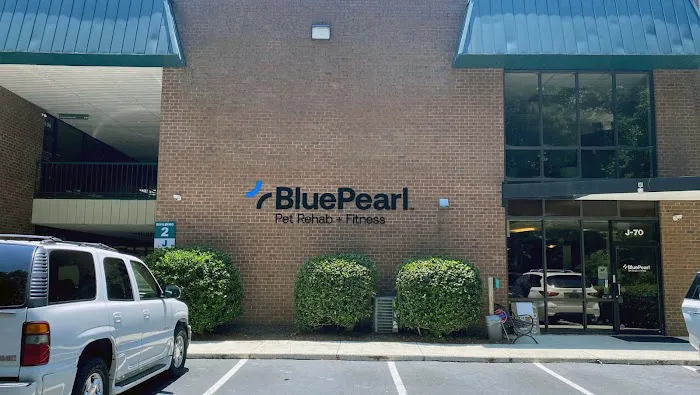 BluePearl Pet Rehab + Fitness 3
