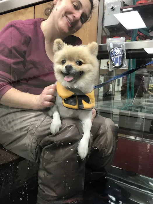 BluePearl Pet Rehab + Fitness 7