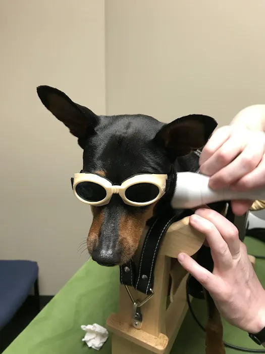 BluePearl Pet Rehab + Fitness 9