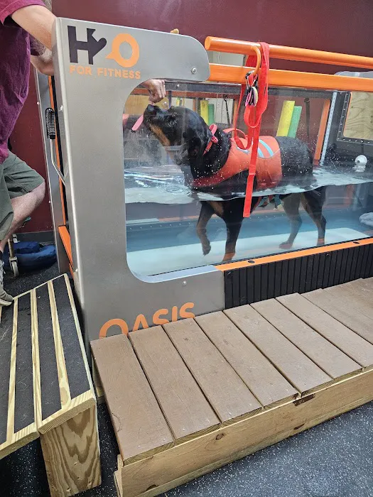 BluePearl Pet Rehab + Fitness 8