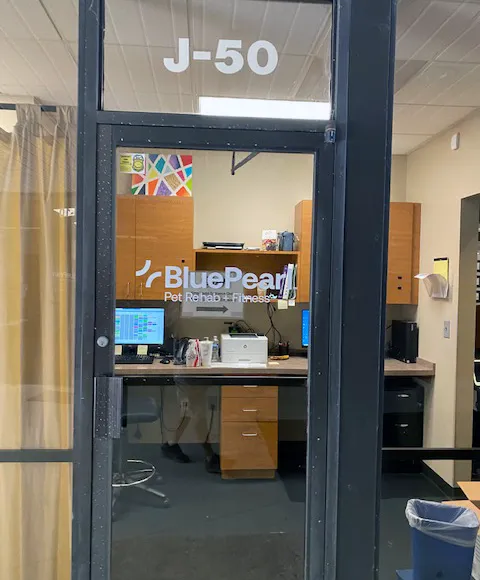 BluePearl Pet Rehab + Fitness 10