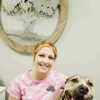 Lost Mountain Animal Chiropractic LLC ico